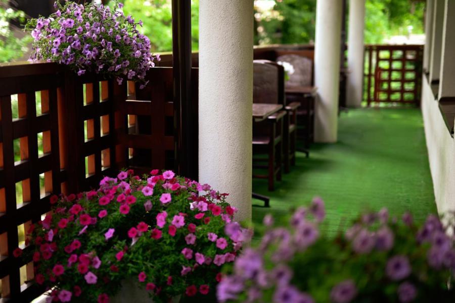 Hotel Promyk Wellness&Spa Karpacz Exterior foto